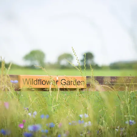 Morndyke Shepherds Huts Camping Thirsk