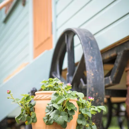 Morndyke Shepherds Huts 캠프장 서스크