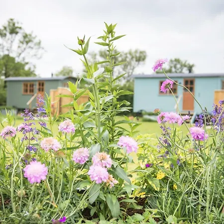 Morndyke Shepherds Huts Campsite 3*