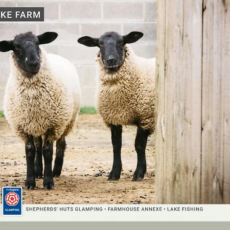 Morndyke Shepherds Huts Camping Thirsk