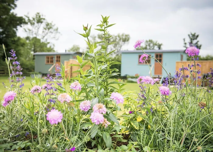 Morndyke Shepherds Huts Camping 3*