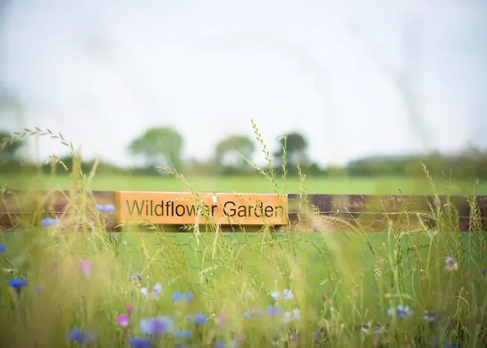 Morndyke Shepherds Huts Thirsk