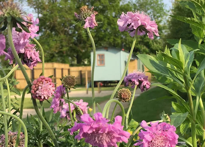 Morndyke Shepherds Huts