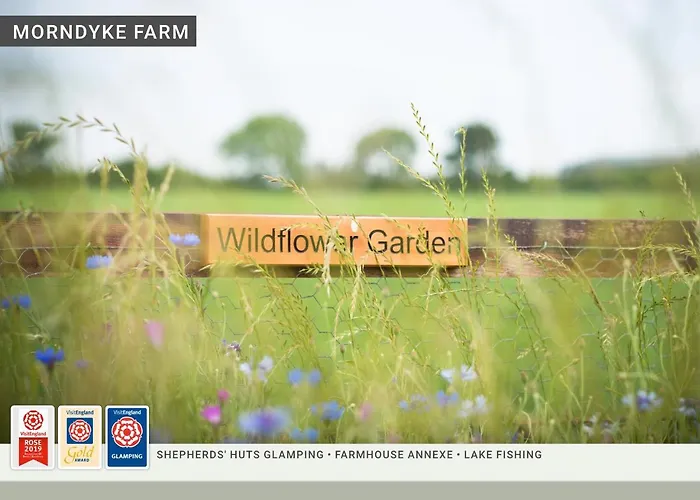 Camping Morndyke Shepherds Huts Thirsk