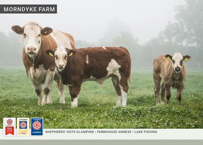 Morndyke Shepherds Huts Thirsk