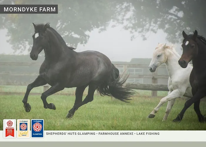 Morndyke Shepherds Huts