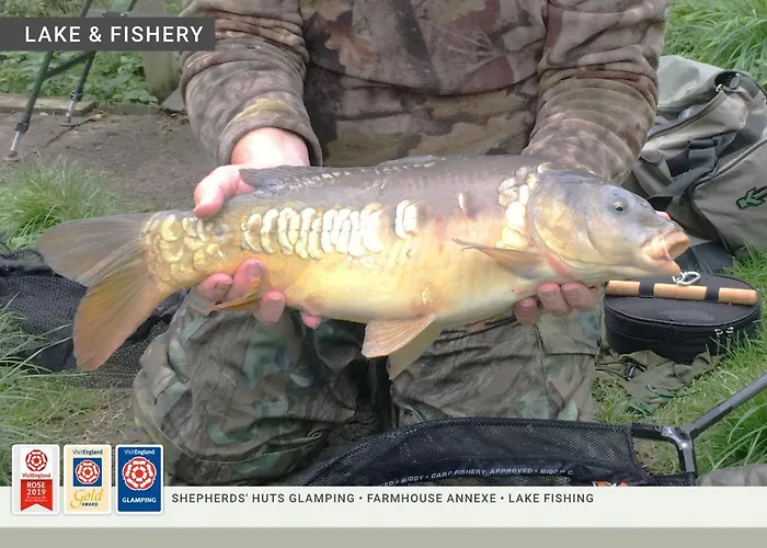 Morndyke Shepherds Huts Parque de Campismo
